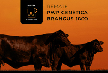 REMATE PWP GENÉTICA BRANGUS 1000